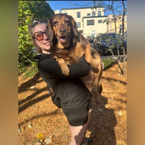 Madison’s LIVE LISTING — LIKE TO KNOW WHEN IM LIVE - Picture 4 of 15